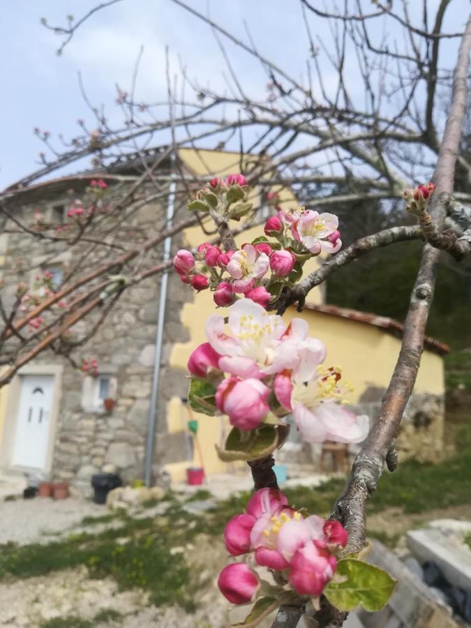 Skalameri Kozljak Esterno foto